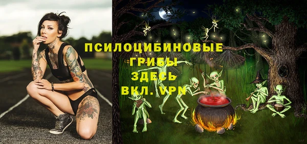 амф Сясьстрой