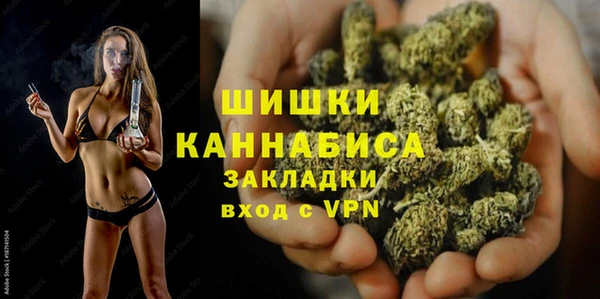 молекула духа Струнино