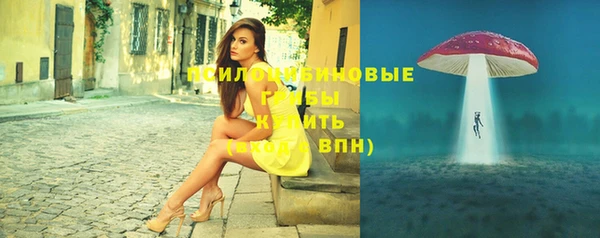 молекула духа Струнино