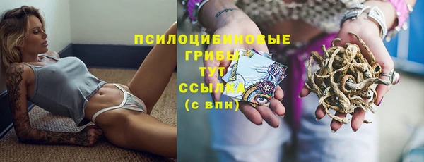 винт Дубна